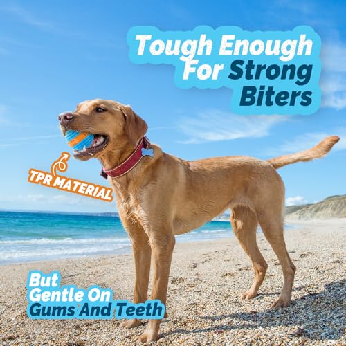 ALL FOR PAWS Squeaky Canine Balls - Pet Teething and Enrichment Fetch Toys for Robust Chewers, That includes Ridges and Nubs for Dental Cleansing, 3-Pack (Blue)